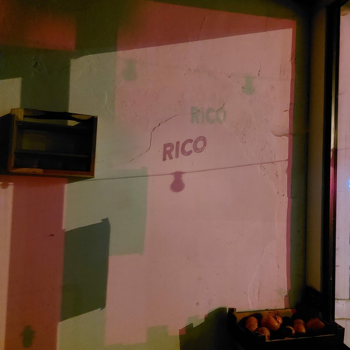 RICO’s Algemene Vergadering