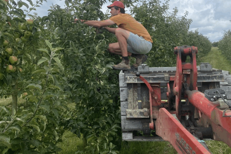 Productfiche: Topaz appel van De Fruittuin