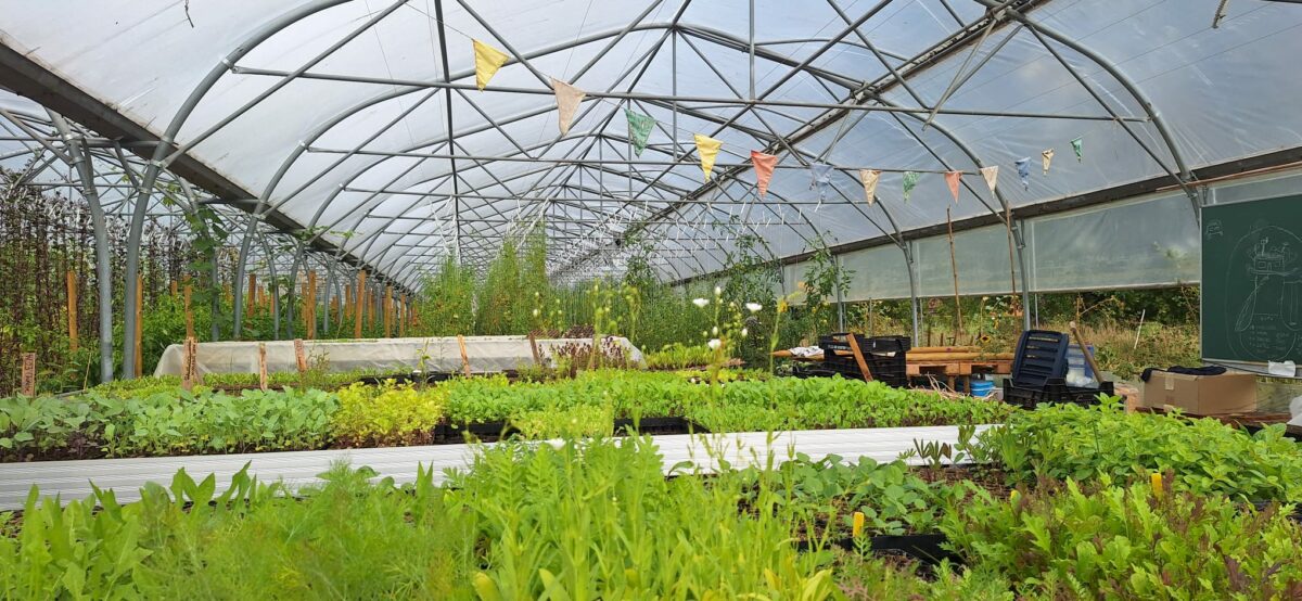 RICO’s Beanery XL bij Grassroots