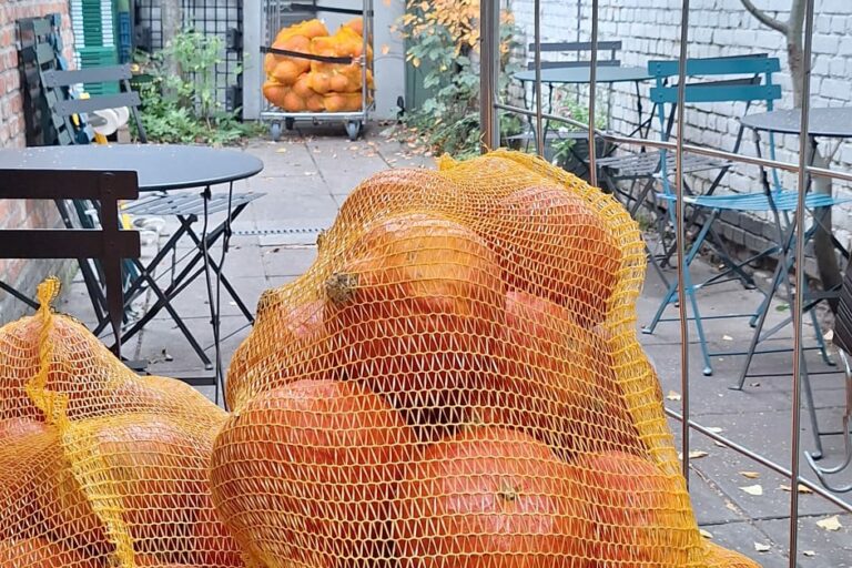 RICO’s nieuwsbrief:   “Oktober vol fermentaties, geredde pompoenen, soep en ruilmarkt!”