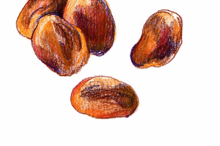 Productfiche: gedroogde abrikozen