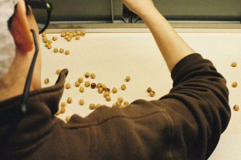 GEROOSTERDE HAZELNOTEN VAN ALTALANGA in de kijker!