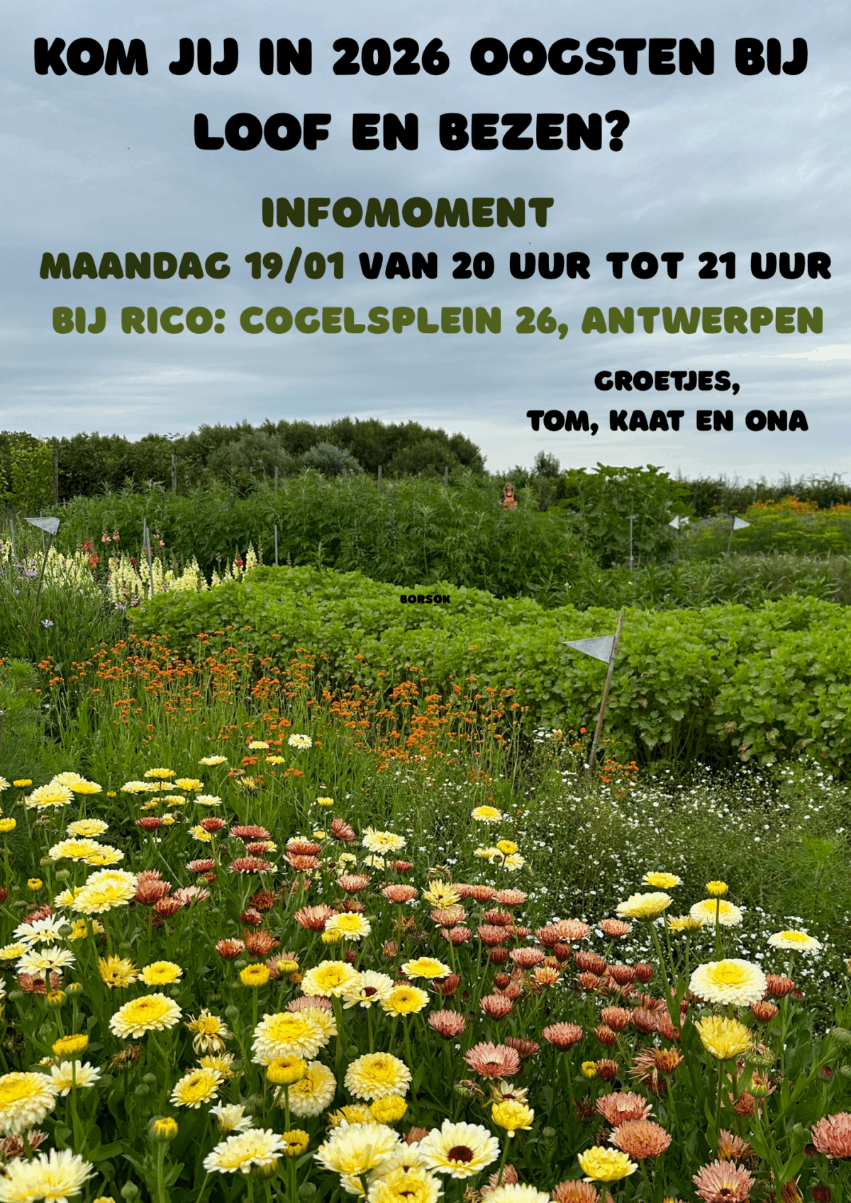 Infomoment CSA Loof en Bezen