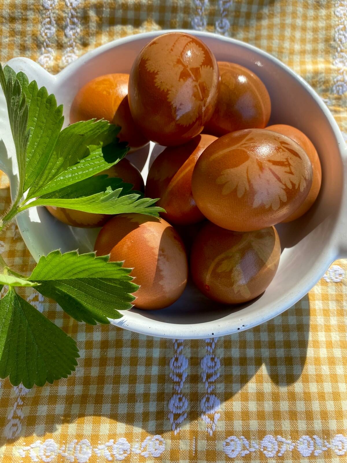 Workshop wildpluk + paaseieren kleuren op natuurlijke wijze