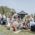 RICO op Ecodroom Rivierenhof